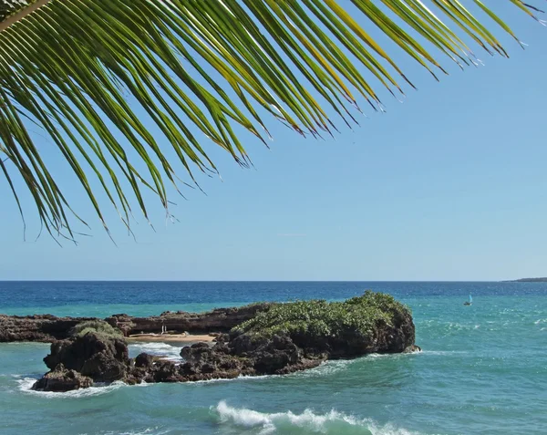 Dominikanska republiken kustlandskap — Stockfoto