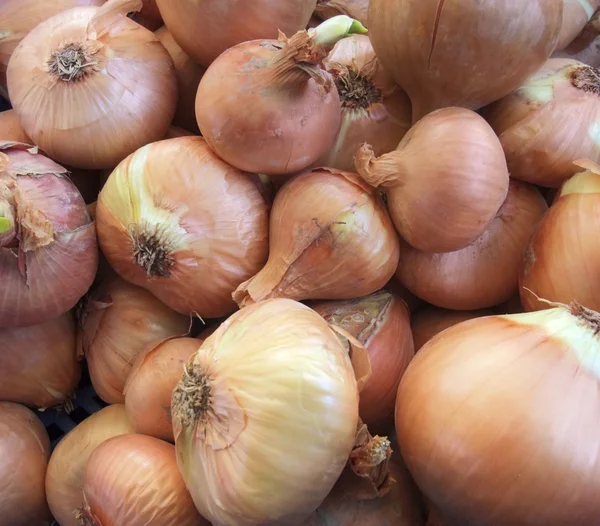 Full frame onions background — Stock Photo, Image