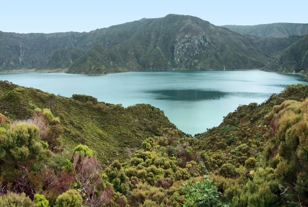 Overgrown lakeside scenery at the Azores — Stock Photo, Image