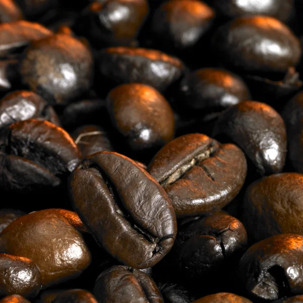 stock image Coffee beans closeup