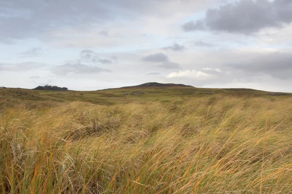 Skót dombos legelők — Stock Fotó