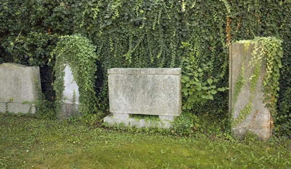 Detail eines jüdischen Friedhofs — Stockfoto