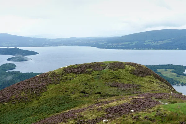 Vista panorâmica em torno de Loch Lomond — Fotografia de Stock