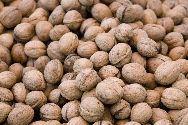 Full frame walnut background — Stock Photo, Image