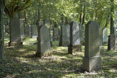 Old gravestones backside clipart