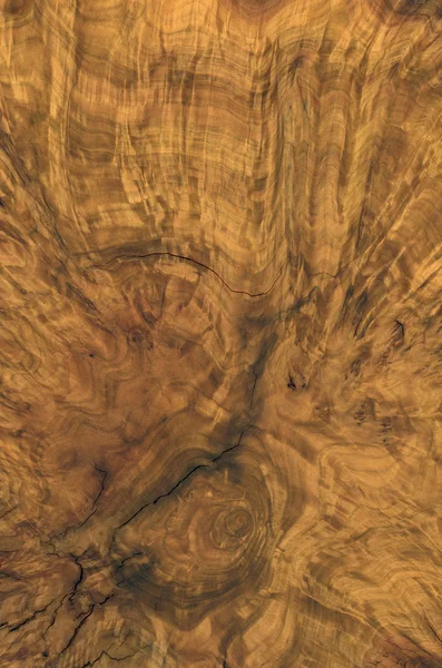 Brun burl trä detalj — Stockfoto