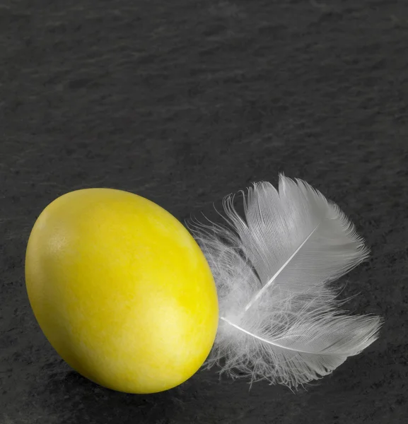复活节彩蛋和羽毛 — 图库照片