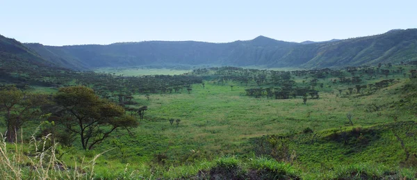 Gola di chambura in uganda — Foto Stock