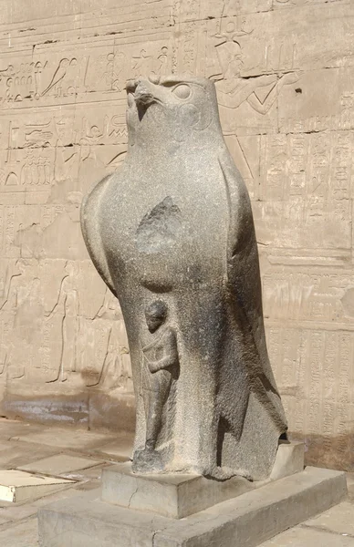 Horus statue at the Temple of Edfu in Egypt — Stock Photo, Image