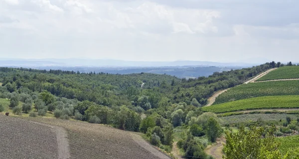 Chianti, Toskana bölgesindeki — Stok fotoğraf