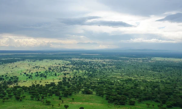 Runt Bwindis ogenomträngliga skog i uganda — Stockfoto