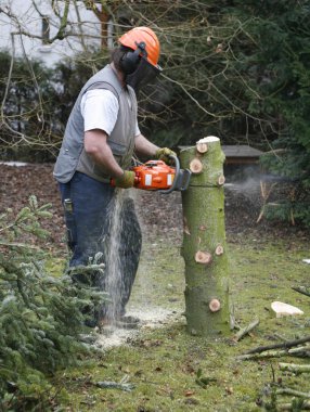 Lumberman at work clipart