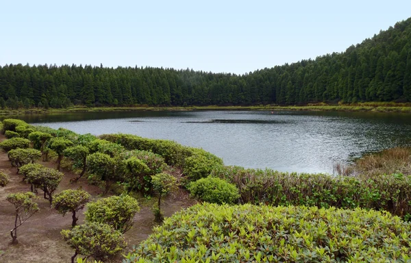 Aan het water landschap op de Azoren — Stockfoto