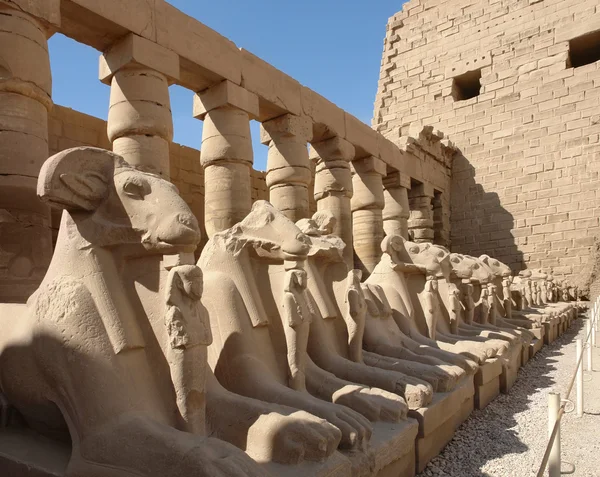Precinct av amun-re i Egypten — Stockfoto