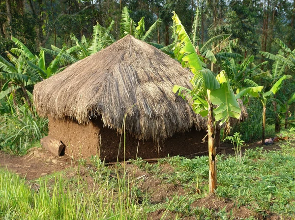 Petite cabane près des montagnes Rwenzori — Photo