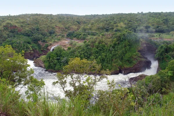 stock image Around Murchison Falls in Uganda