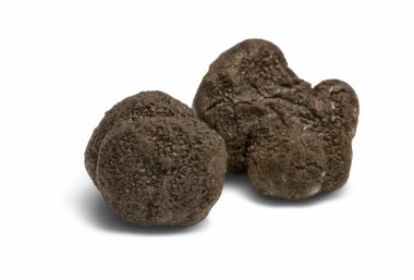 Truffles clipart