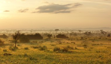 Queen Elizabeth National Park at evening time clipart