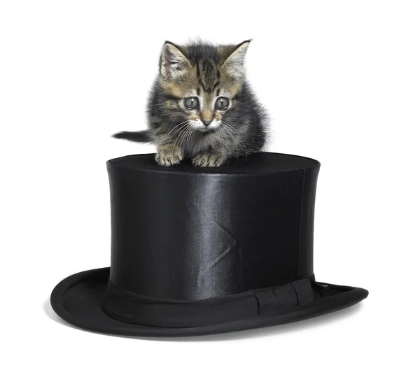 Cute kitten on top hat — Stock Photo, Image