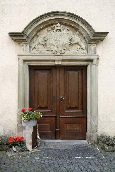 Noble decorated entrance door — Stock Photo, Image