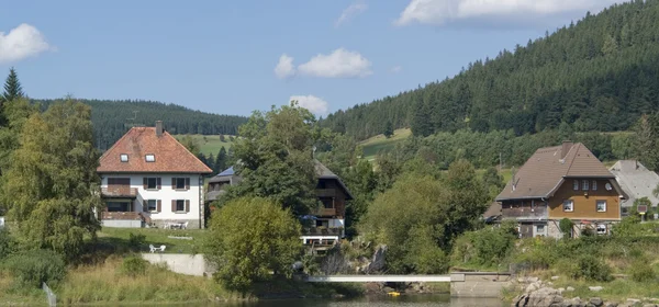 Schluchsee w okresie letnim — Zdjęcie stockowe