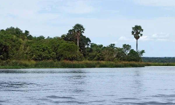 Paysages du Nil Victoria en Ouganda — Photo