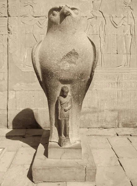 Starue of Horus — Stock Photo, Image