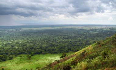 Queen Elizabeth National Park in stormy ambiance clipart