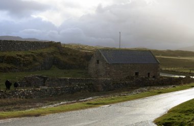 Livestock in Scotland at evening time clipart