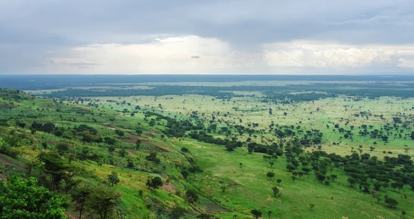 Rond ondoordringbare bos van bwindi in Oeganda — Stockfoto
