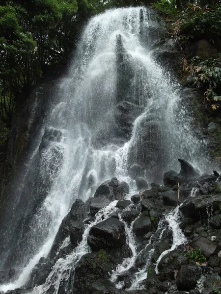 Cascade at the Azores — Stock Photo, Image