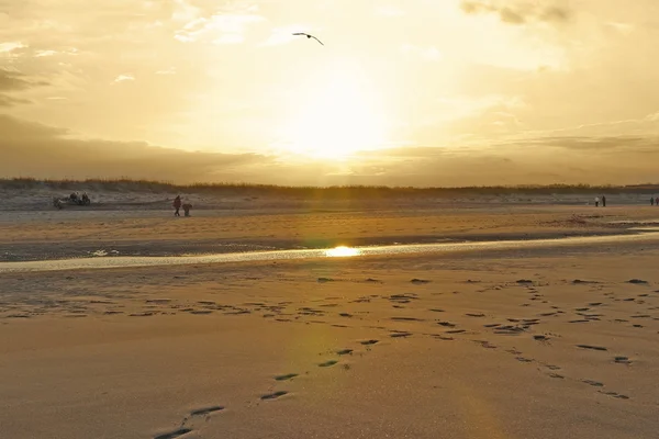 夜の太陽に照らされたクレーンビーチ — ストック写真