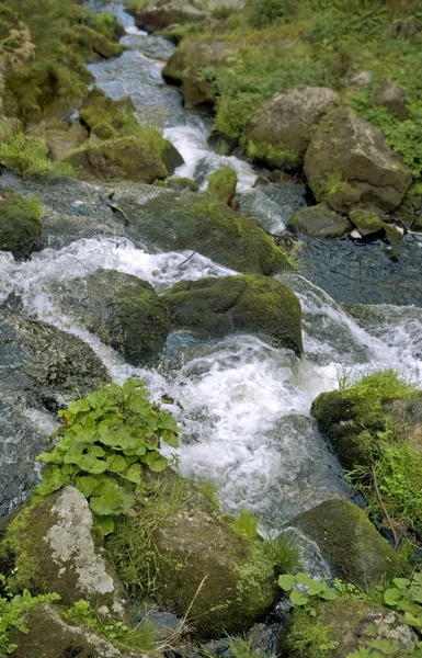 Ідилічному Тріберг водоспади — стокове фото