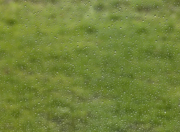 Picături de ploaie în ceață verde înapoi — Fotografie, imagine de stoc