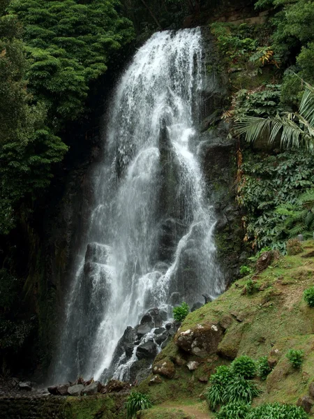 Cascada en las Azores —  Fotos de Stock