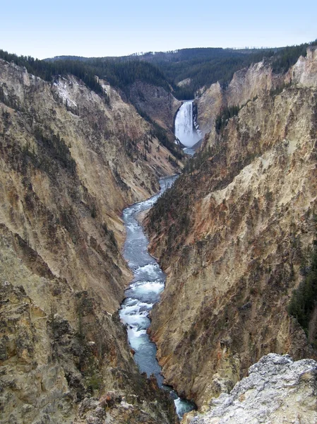 stock image Yellowstone National Park