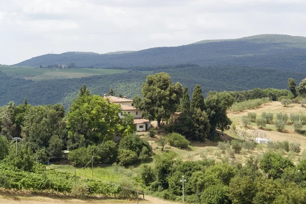 Tuscany landscape — Stock Photo, Image