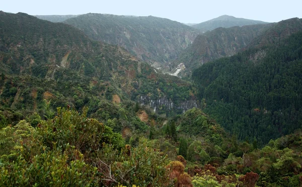 Skalista panoramiczny widok na Azorach — Zdjęcie stockowe
