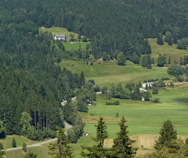 Schwarzwald-Luftbild — Stockfoto