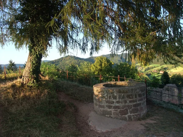 stock image Well near Hochburg Emmendingen