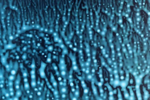 Blue capillary cosmos — Stock Photo, Image