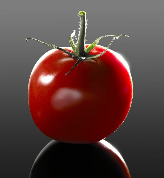 Tomate perfeito — Fotografia de Stock