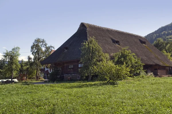 Traditionella Schwarzwald bondgård — Stockfoto