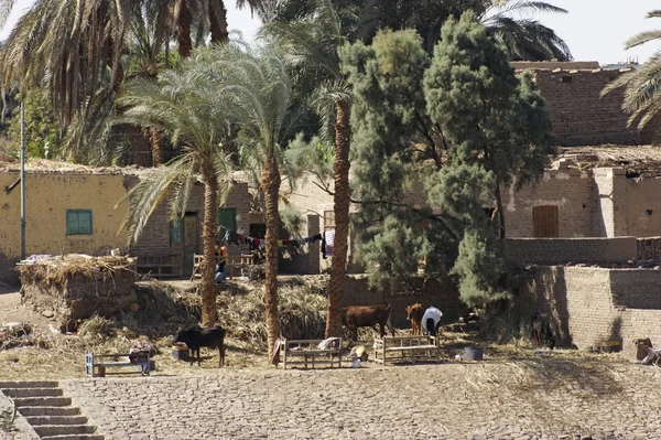 Detalhe da aldeia no Egito — Fotografia de Stock