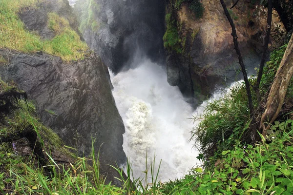 Wildwasser bei den Murchison Falls — Stockfoto