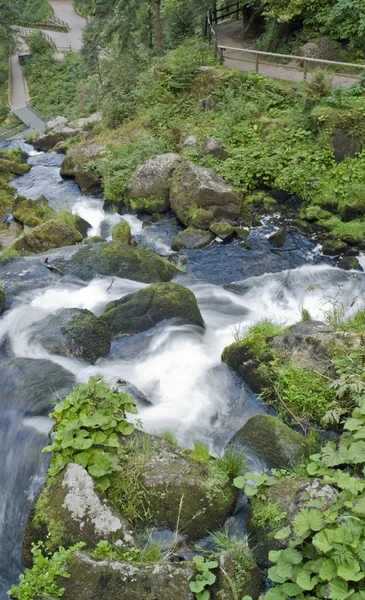 Idyllische Triberger Wasserfälle — Stockfoto
