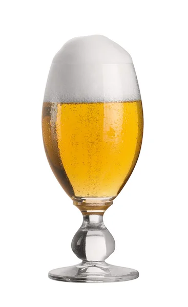 Τέλεια ποτήρι της μπύρας pils — Φωτογραφία Αρχείου