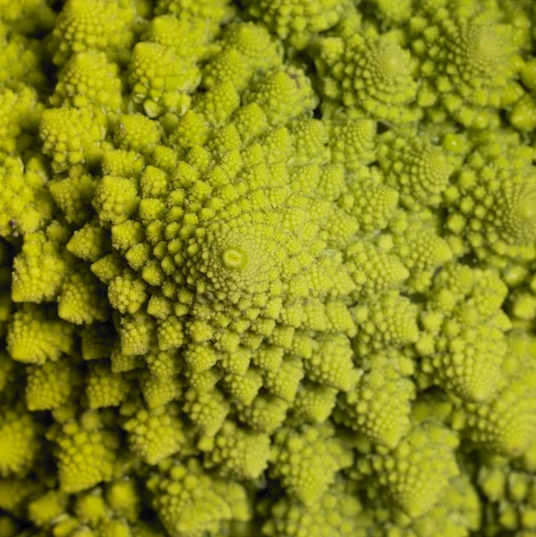 Abstract romanesco cauliflower — Stock Photo, Image