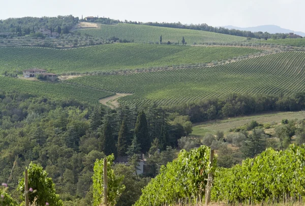 Chianti em Toscana — Fotografia de Stock