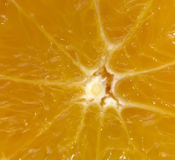 Cornice intera sapiente taglio arancione — Foto Stock